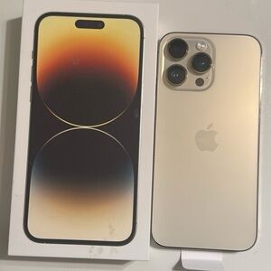 Apple iPhone in Elegant Gold